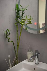 a bathroom with a sink with a vase with a plant at ChrisAndro Apartments in Athens