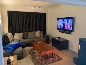 salon z kanapą i telewizorem z płaskim ekranem w obiekcie Quiet home with modern touch w mieście Dunedin