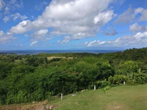 an open field with trees and the ocean in the background at Location Bellevue - Pomme Cannelle in Saint-Louis