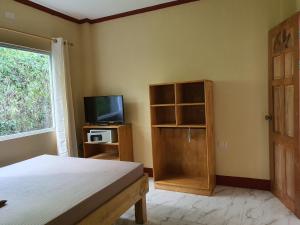 Schlafzimmer mit einem Bett, einem TV und einem Fenster in der Unterkunft One 4 Da Road in Panglao