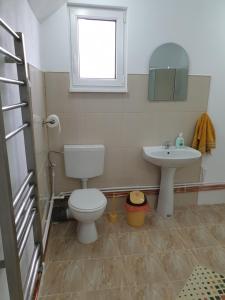 トプリツァにあるCasa Mogladorのバスルーム(トイレ、洗面台付)