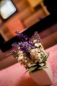 Fotografie z fotogalerie ubytování Apartments D v destinaci Krk