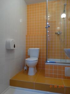 a bathroom with a toilet and a shower at KD Hostel in Kaliningrad