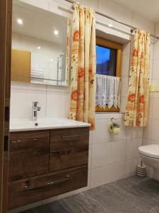 a bathroom with a sink and a toilet and a window at Haus Grünbacher in Lienz