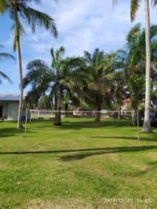 een park met palmbomen en een voetbal bij MB Camp Singkil in Gosongtelaga
