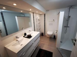 a bathroom with a sink and a toilet and a mirror at L'Atelier in Houyet +45 photos