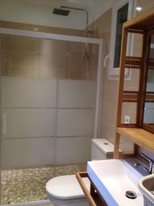ein Bad mit einer Dusche, einem WC und einem Waschbecken in der Unterkunft Maisonnette El Puy in Moltig les Bains