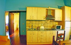 Köök või kööginurk majutusasutuses Apartamentos Rurales La Vega del Jerte