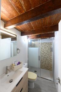 un bagno con wc e doccia in vetro di Casa Rural Los Frailes a Los Llanillos