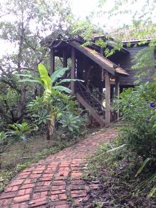 En trädgård utanför Nature House Eco-Lodge& Trekking