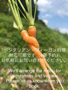 磐城的住宿－民宿たきた館 guest house TAKITA-KAN，挂在植物上的胡萝卜的图像