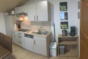 eine kleine Küche mit Spüle und Kühlschrank in der Unterkunft Appartement Straninger am Achensee in Maurach