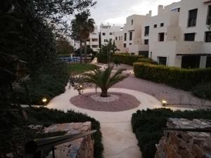 un jardín con una palmera y un edificio en gelijkvloers appartement Corvera Golf & Country Club, en Corvera