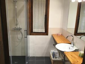 a bathroom with a shower and a sink at Prat des Artigues in Escuñau