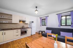 a kitchen and living room with a couch and a table at Penzion Pod Sudem in Lázně Libverda