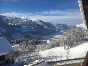 Príroda v okolí apartmánu