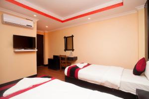Televiisor ja/või meelelahutuskeskus majutusasutuses Kathmandu Regency Hotel