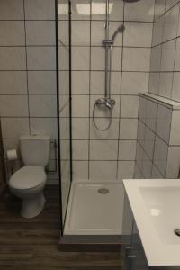 un bagno con wc, doccia e lavandino di Hotel du Lac - Au Bord du Lac a La Tour-dʼAuvergne Altre 25 foto