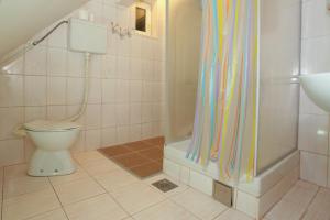 Apartman Carpe Diem 2 في زاييتشار: حمام مع مرحاض ودش