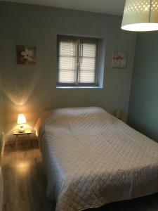 ein Schlafzimmer mit einem weißen Bett und einem Fenster in der Unterkunft La Maisonnette Dintevilloise in Dinteville