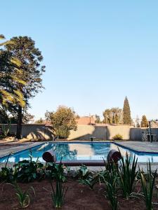 - une piscine dans une cour ornée de plantes dans l'établissement Sibahlenomhlambi Guesthouse, à Springs