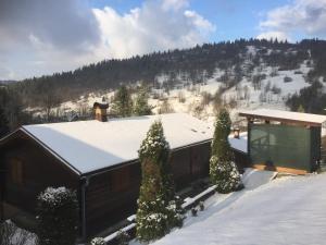 Drevenice Oščadnica v zime