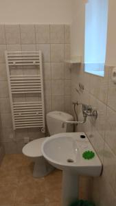 Kúpeľňa v ubytovaní Apartmány Růže