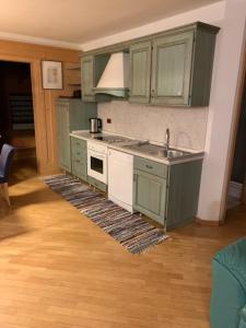 a kitchen with green cabinets and a sink at Chalet montagna e relax Volpe Rossa in Cavalese