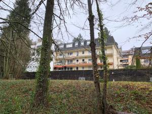 ein großes Gebäude inmitten eines Parks mit Bäumen in der Unterkunft Moderne Ferienwohnung nahe SWR und Golfplatz in Baden-Baden