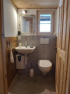 a small bathroom with a toilet and a sink at Tgèsa Felici in Sedrun