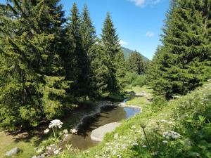 Peisaj natural din apropierea acestui apartament