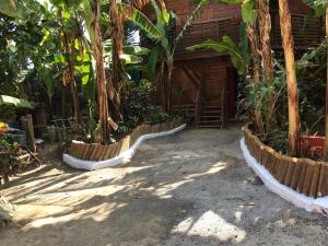 Appartement du Chalet في Koungou: مجموعة اشجار امام مبنى