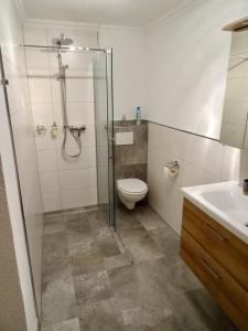 Landhaus Rathgeb في باد جاستاين: حمام مع دش ومرحاض ومغسلة