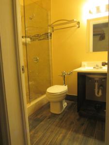 ein Bad mit einem WC, einer Dusche und einem Waschbecken in der Unterkunft The Tremé Hotel in New Orleans