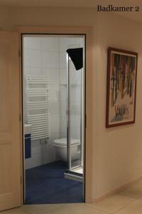 een badkamer met een toilet en een glazen deur bij Edelweiss A13 in Morgins