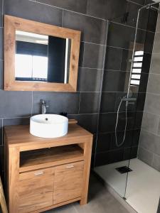 a bathroom with a sink and a mirror and a shower at OCEAN SUNSET in Saint-Leu