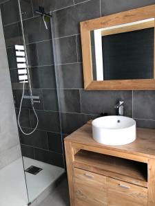 W łazience znajduje się umywalka oraz prysznic z lustrem. w obiekcie OCEAN SUNSET w mieście Saint-Leu
