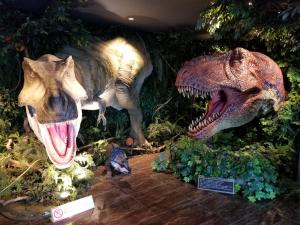 a display of dinosaur skeletons in a museum at Henn na Hotel Maihama Tokyo Bay in Urayasu