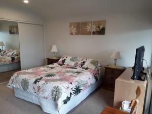a bedroom with a bed and a tv in it at Cave Rock Guest House in Sumner