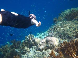 入住Umma Bali Menjangan Retreat的客人