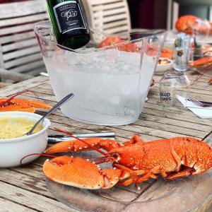 a lobster on a plate with a bottle of champagne at Hôtellerie des jardins d'honvault in Wimereux