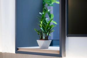 Fotografie z fotogalerie ubytování Hotel NuVe Elements v Singapuru