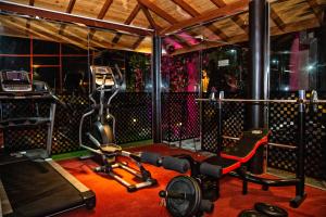 Fitness centrum a/nebo fitness zařízení v ubytování Royal Classic Resort