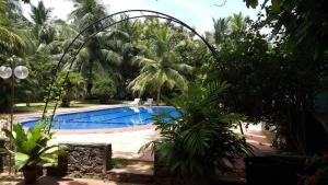 Piscina de la sau aproape de Grand Camellia Hotel