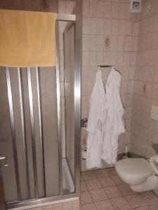 y baño con ducha y aseo. en Gasthof Alte Post, en Bischofsmais