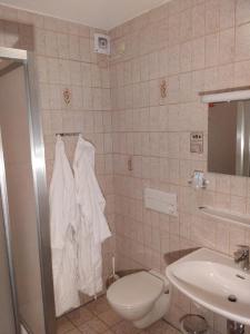 een badkamer met een toilet en een wastafel bij Gasthof Alte Post in Bischofsmais