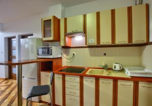 Elle comprend une petite cuisine équipée d'un évier et d'un réfrigérateur. dans l'établissement Centrum Noclegi, à Krynica-Zdrój