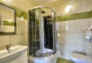 a bathroom with a shower and a toilet and a sink at Centrum Noclegi in Krynica Zdrój