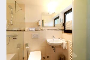 bagno con lavandino, servizi igienici e specchio di Mariaweiler Hof a Düren - Eifel