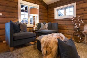 ストランダにあるStrandafjellet Mountain Lodgeの椅子2脚付きの部屋で犬が寝ている